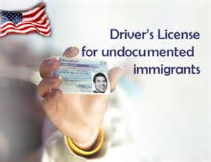 Driver's license for undocumented immigrants